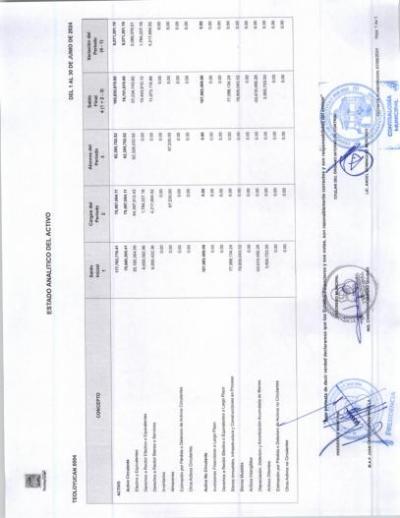 9. Estado analitico del Activo